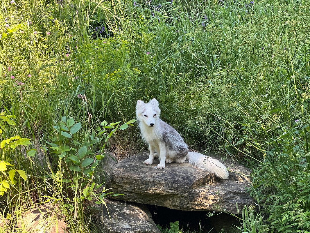 Zoo_Ecomuseum_Jun2022 (8)