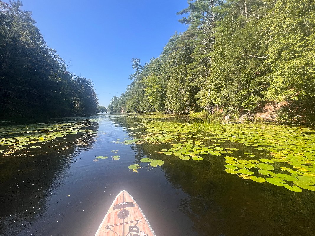 Cottage_Aug2023 (109)