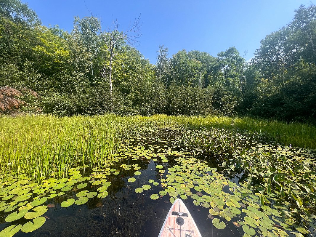 Cottage_Aug2023 (47)