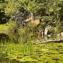 Cottage_Aug2023 (108)