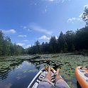 Cottage_Aug2023 (14)