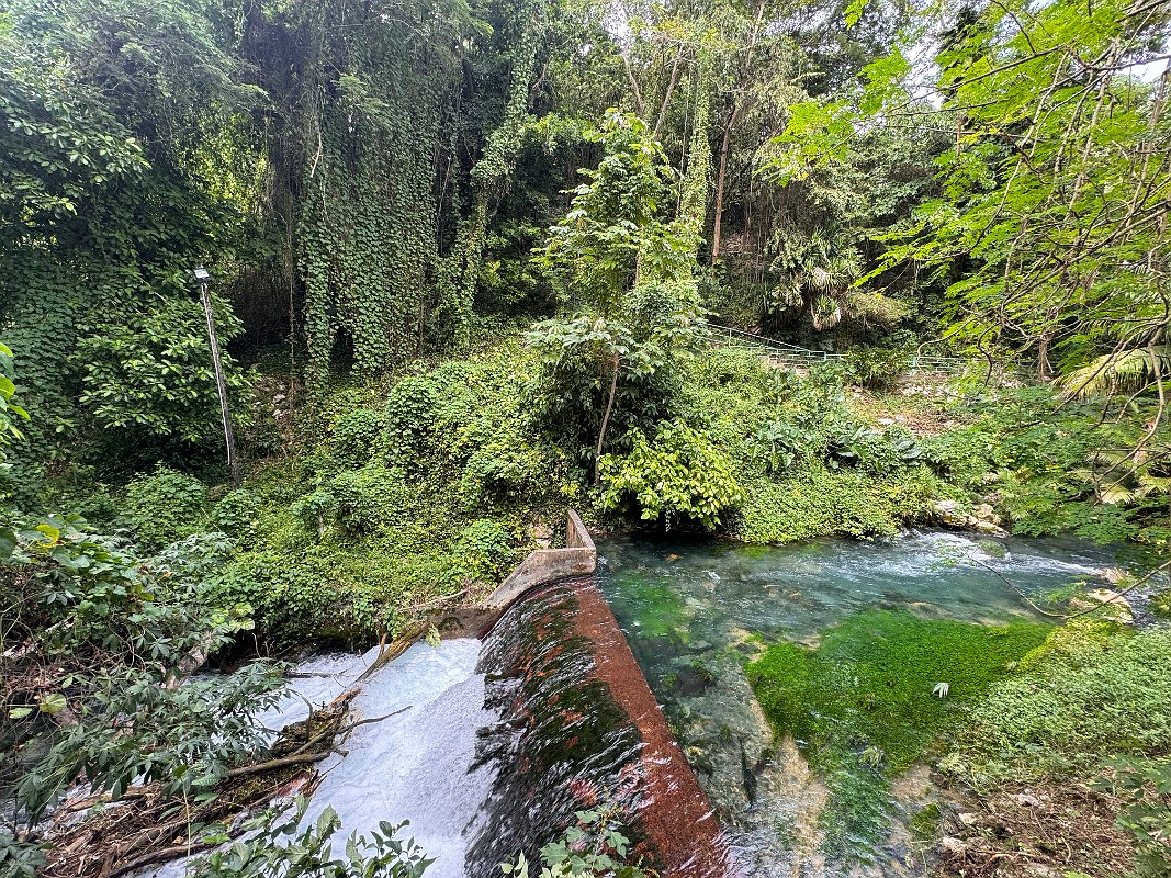 Jamaica_Dec2023 (70)