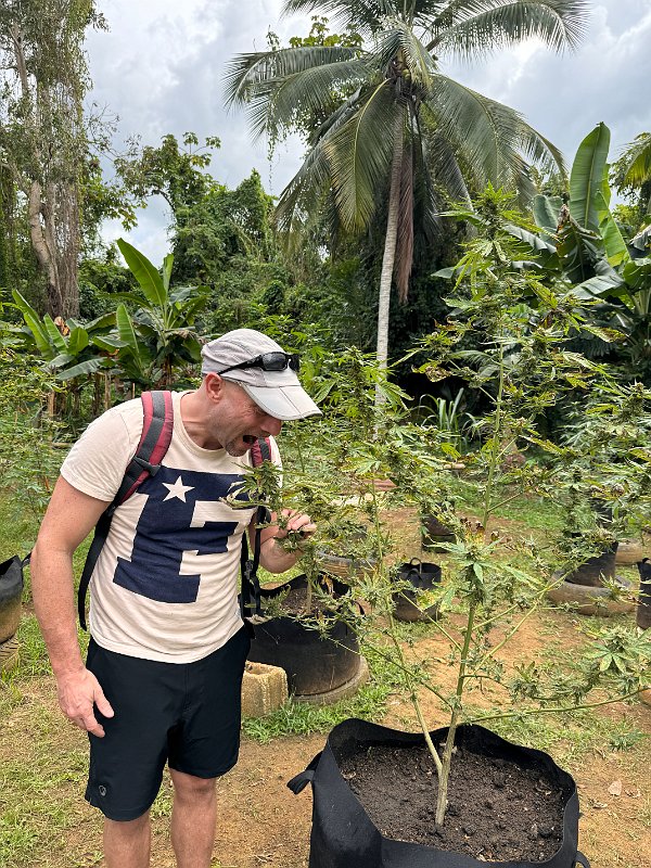 Jamaica_Dec2023 (74)