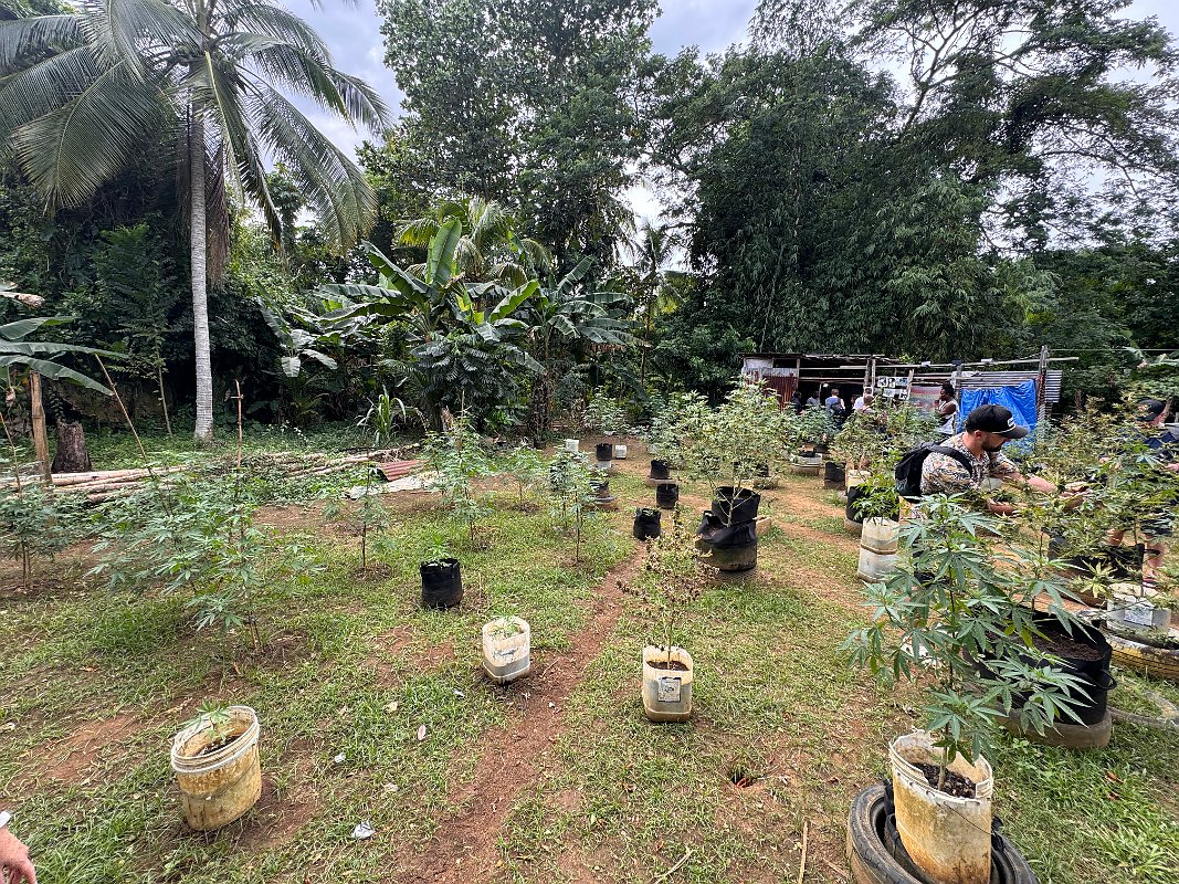 Jamaica_Dec2023 (79)