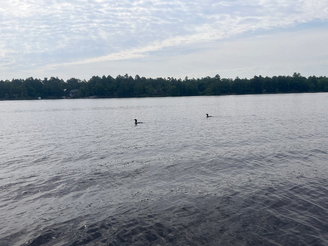 Muskoka_Cottage_Jul2023 (54)