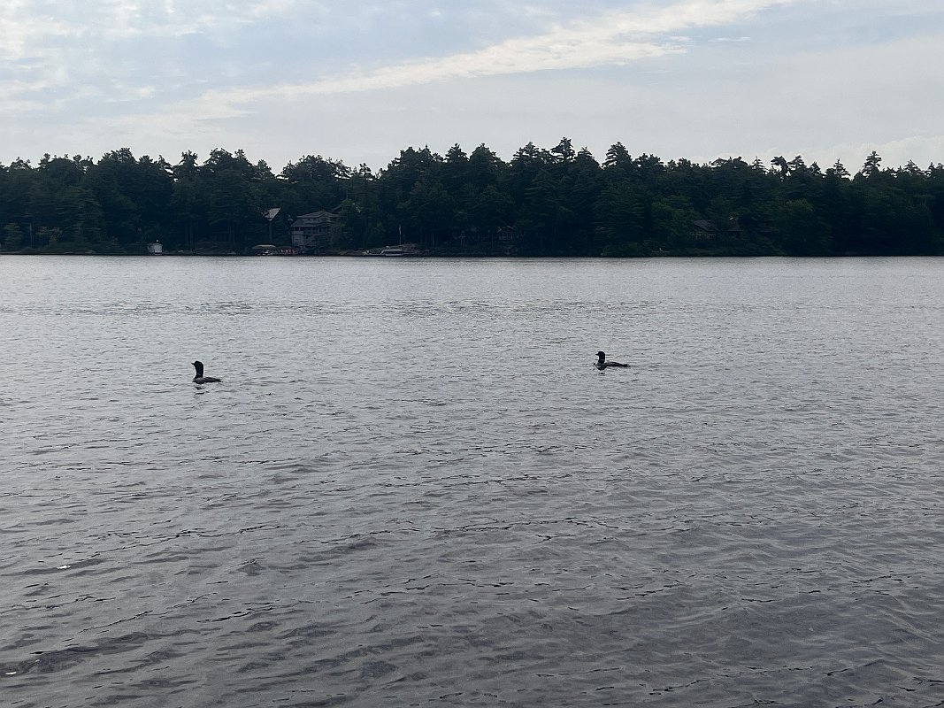 Muskoka_Cottage_Jul2023 (56)