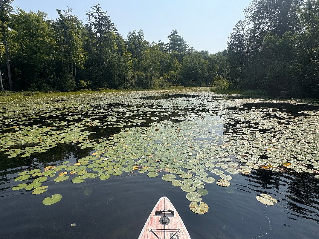 Cottage_Aug2024 (36)