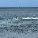 IMG_4554
