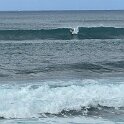 IMG_4555