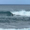 IMG_4556