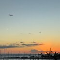 IMG_4585