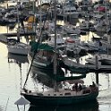 IMG_4588